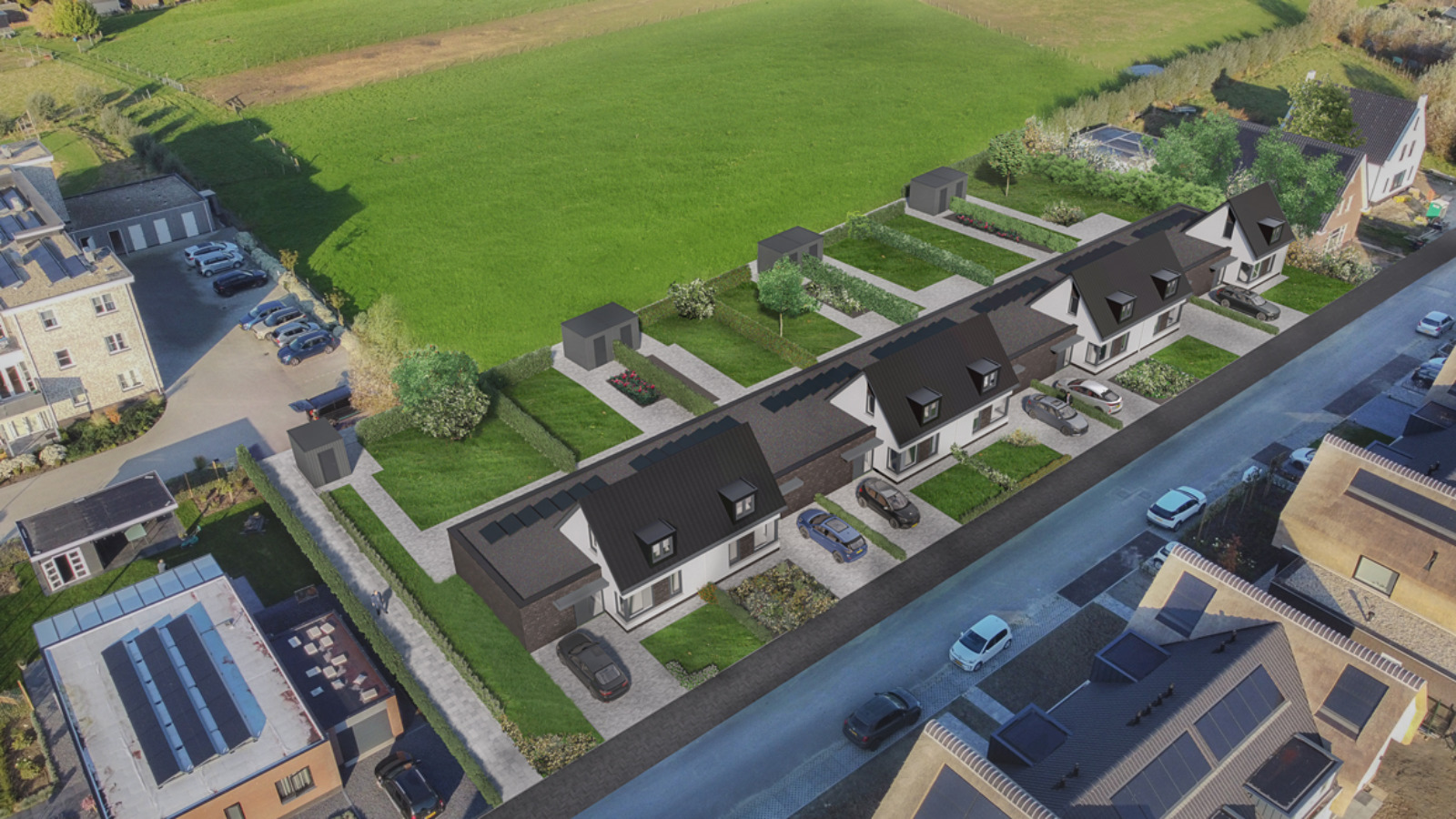 Korenbloem 2