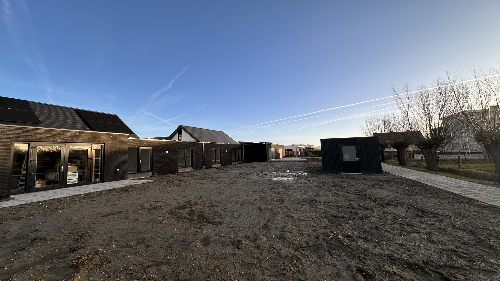Korenbloem 7