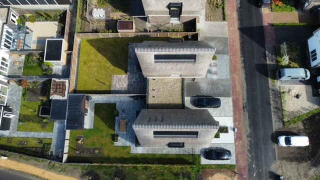 Rietpluimen 5