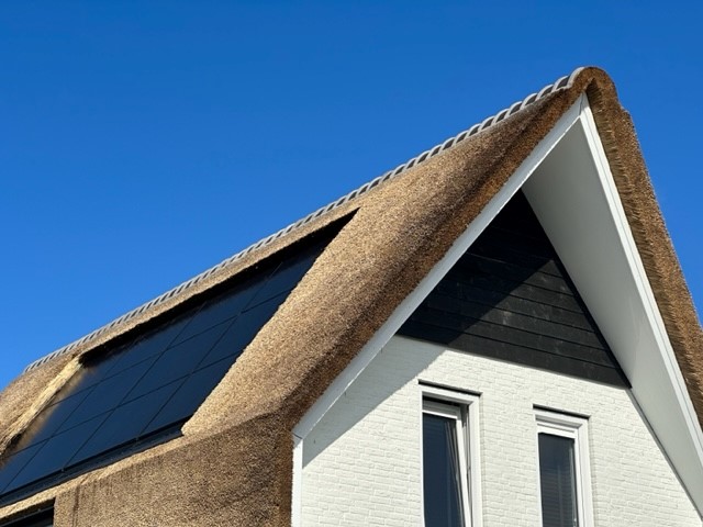 Rietpluimen 6