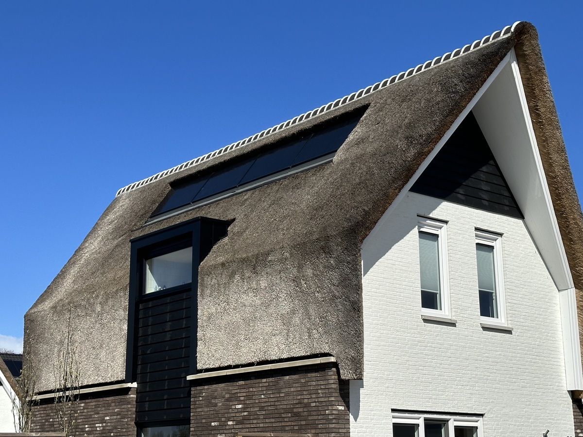Rietpluimen Fase 2 10