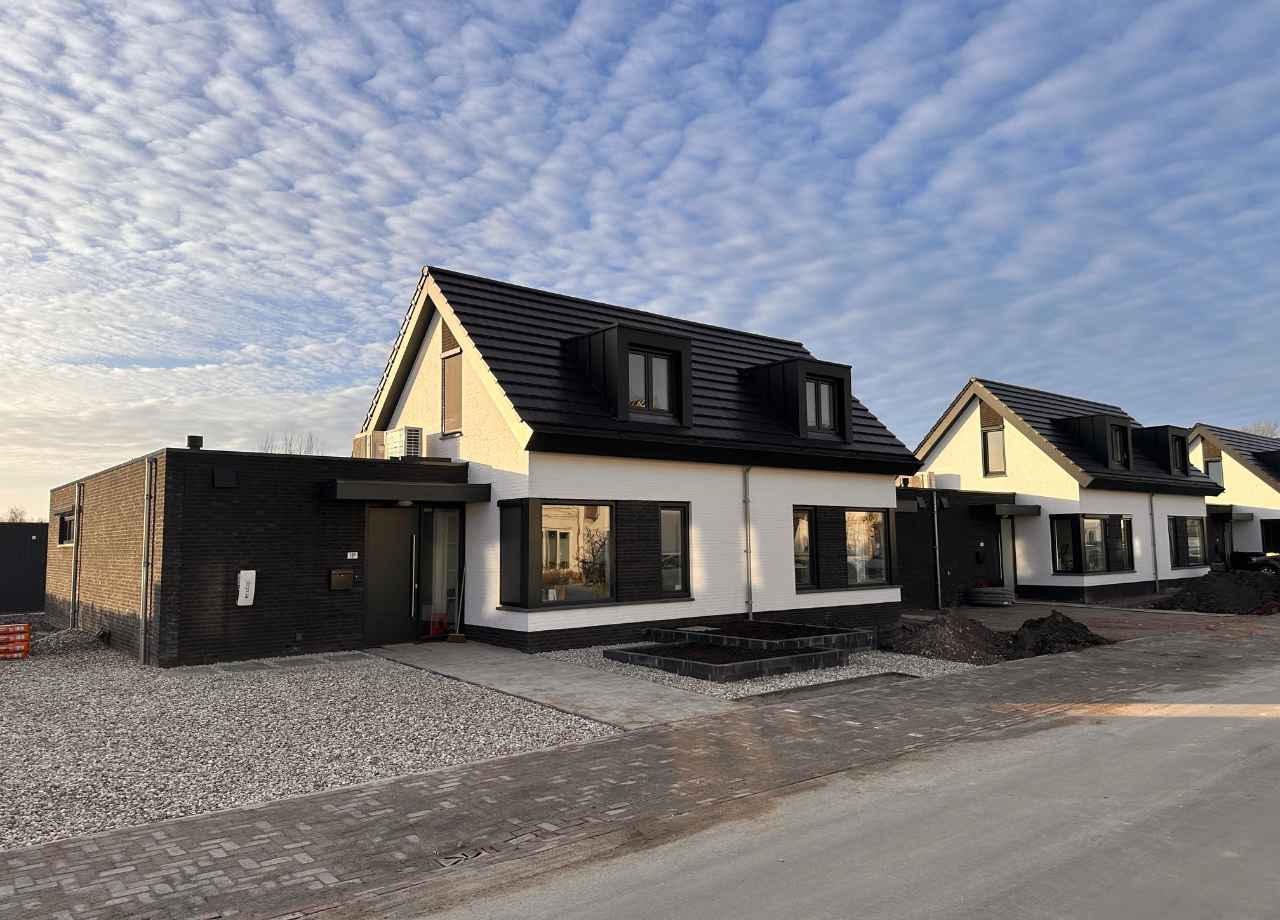 Korenbloem, Kortgene 1